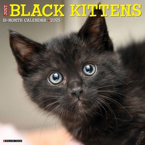 Cover image for Black Kittens 2026 12 X 12 Wall Calendar