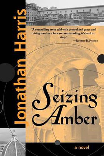 Cover image for Seizing Amber