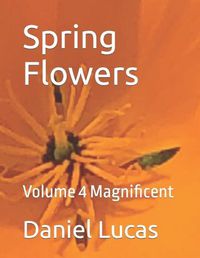 Cover image for Spring Flowers: Volume 4 Magnificent
