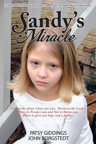 Cover image for Sandy's Miracle
