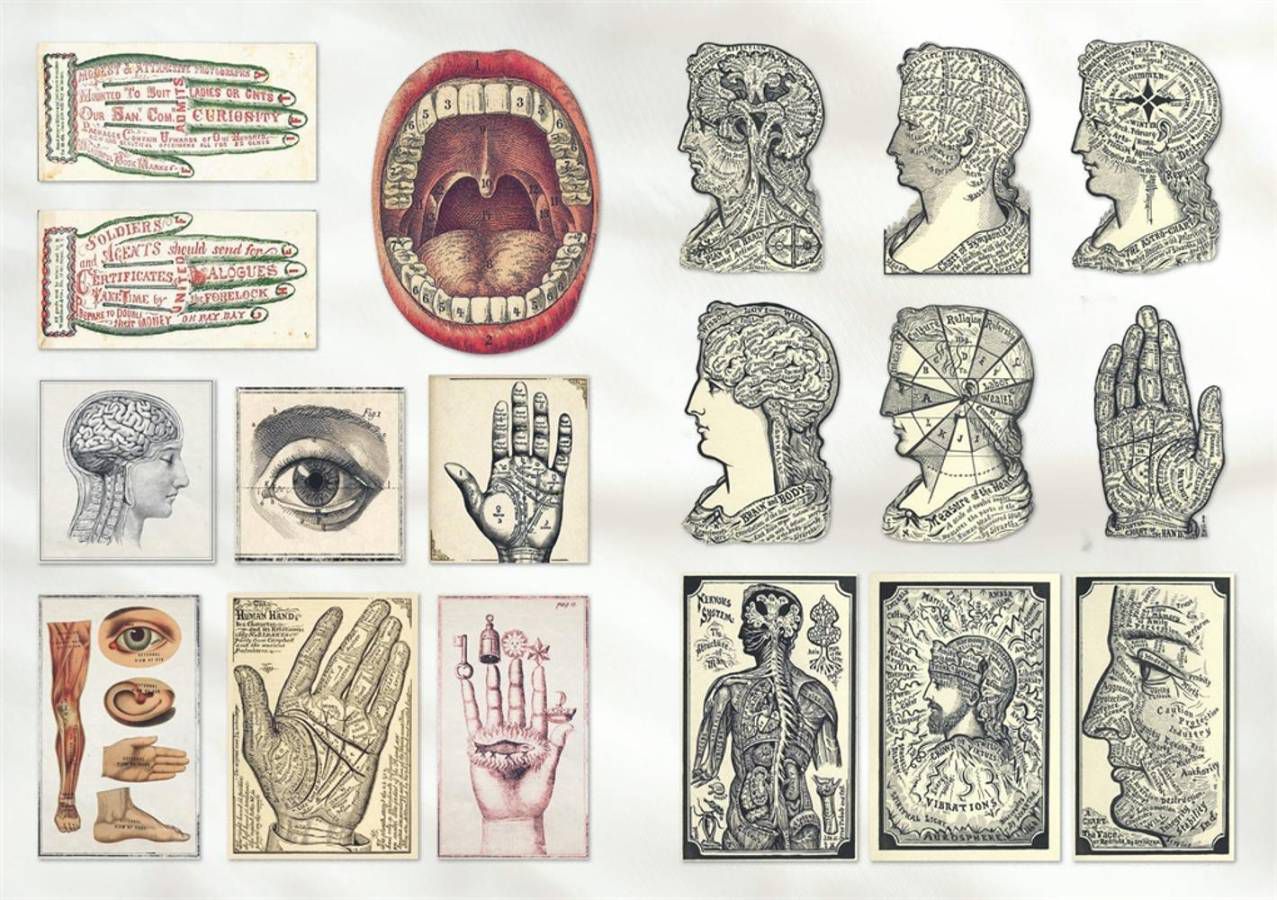 The Curious Collections Sticker Book