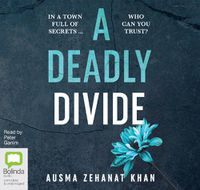 Cover image for A Deadly Divide