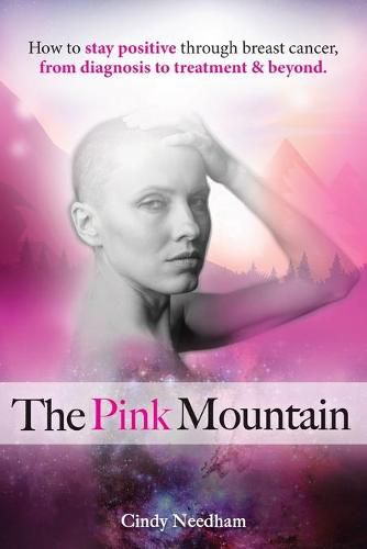 Cover image for The Pink Mountain