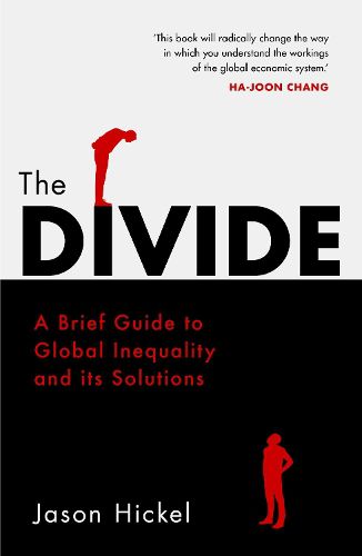 Cover image for The Divide: A Brief Guide to Global Inequality and its Solutions