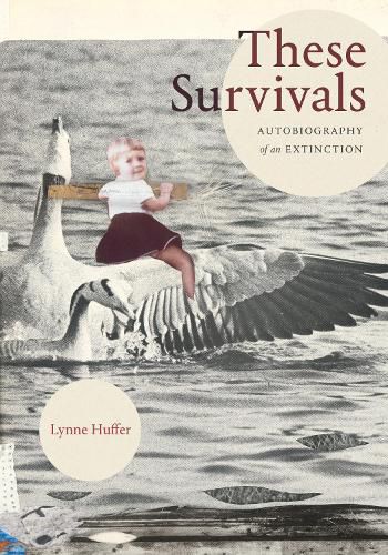 Cover image for These Survivals