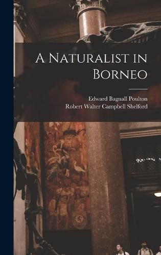 A Naturalist in Borneo