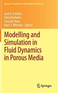 Cover image for Modelling and Simulation in Fluid Dynamics in Porous Media