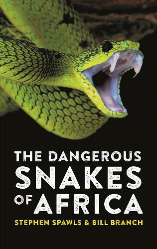 Cover image for The Dangerous Snakes of Africa