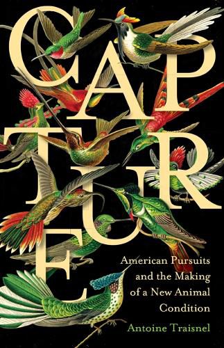 Cover image for Capture: American Pursuits and the Making of a New Animal Condition