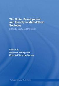 Cover image for The State, Development and Identity in Multi-Ethnic Societies: Ethnicity, Equity and the Nation