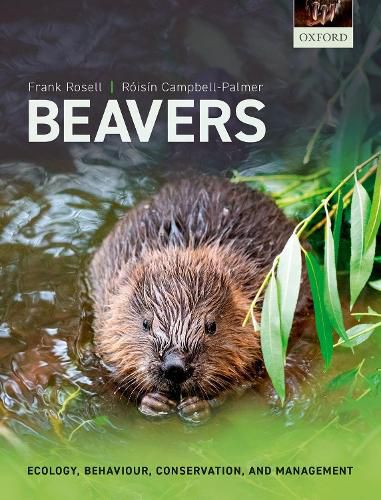 Cover image for Beavers: Ecology, Behaviour, Conservation, and Management