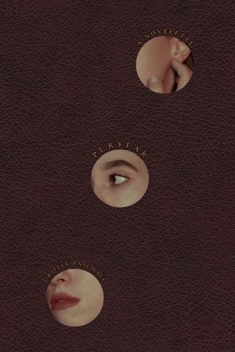 Cover image for Puryear