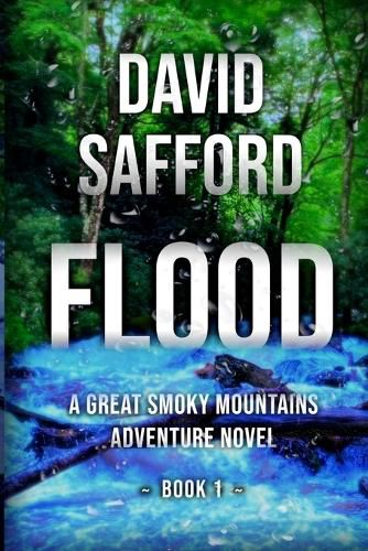 Cover image for Flood