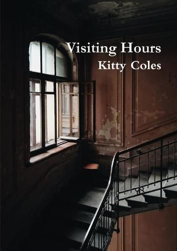 Cover image for Visiting Hours