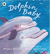Cover image for Dolphin Baby