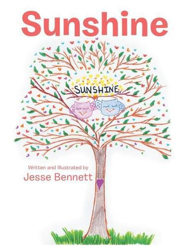 Cover image for Sunshine