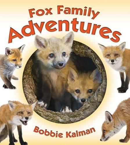 Cover image for Fox Family Adventures