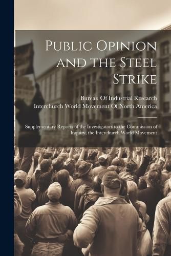 Cover image for Public Opinion and the Steel Strike