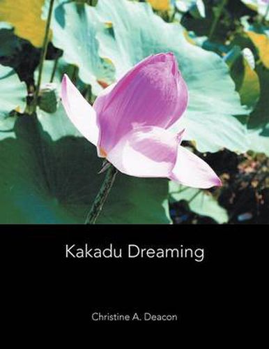 Cover image for Kakadu Dreaming