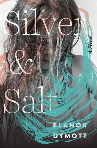 Cover image for Silver and Salt: A Novel