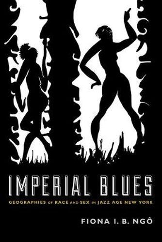 Cover image for Imperial Blues: Geographies of Race and Sex in Jazz Age New York