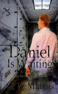 Cover image for Daniel Is Waiting A Ghost Story