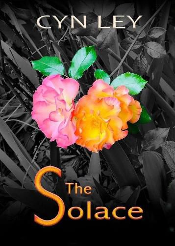 Cover image for The Solace