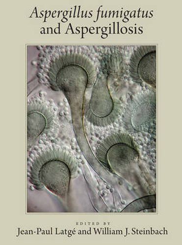 Cover image for Aspergillus fumigatus and Aspergillosis