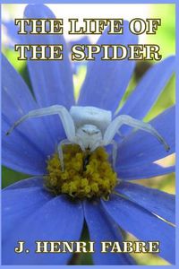 Cover image for The Life of the Spider