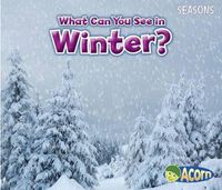 Cover image for What Can You See in Winter? (Seasons)