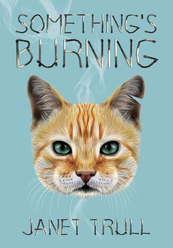 Cover image for Something's Burning