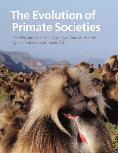 Cover image for The Evolution of Primate Societies