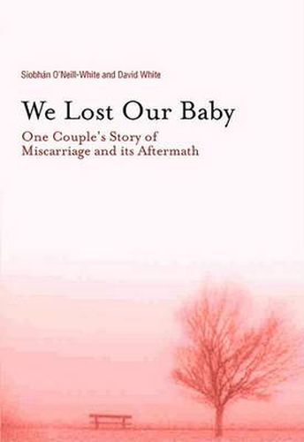 Cover image for We Lost Our Baby: One Couple's Story of Miscarriage and Its Aftermath