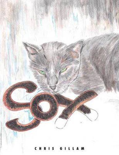 Cover image for Sox