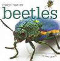 Cover image for Beetles