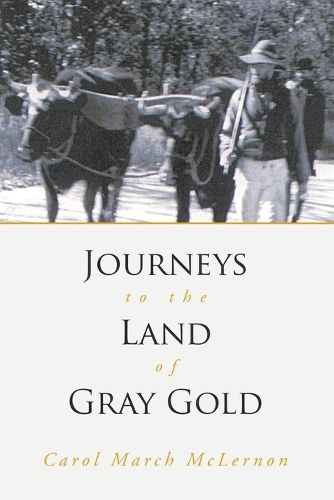 Cover image for Journeys to the Land of Gray Gold