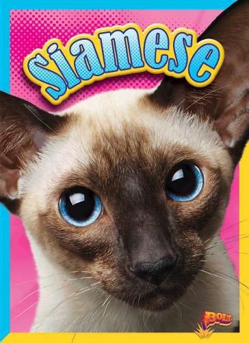 Cover image for Siamese