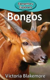 Cover image for Bongos