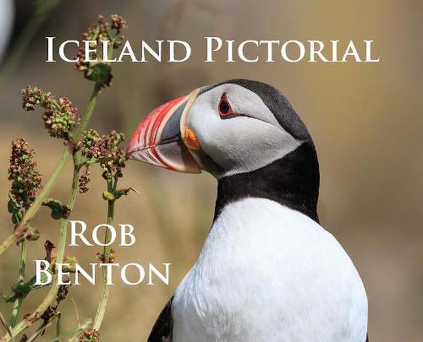 Cover image for Iceland Pictorial