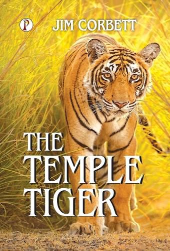 Cover image for The Temple Tiger