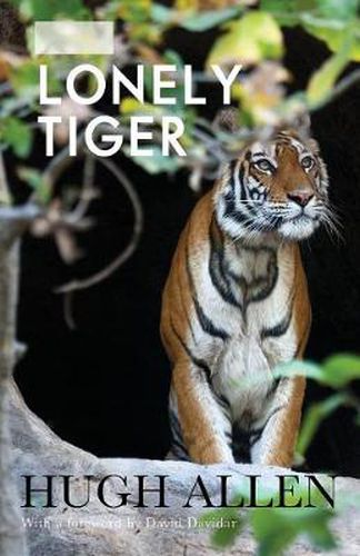 Cover image for The Lonely Tiger