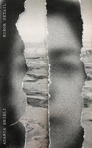 Cover image for Minor Detail