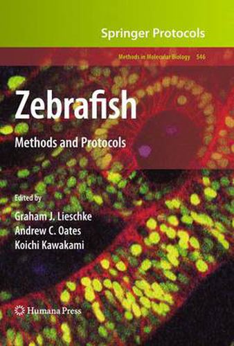 Zebrafish: Methods and Protocols