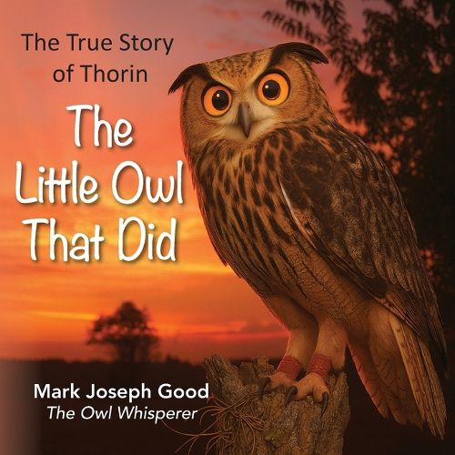 Cover image for The Little Owl that Did