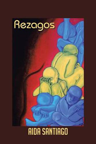 Cover image for Rezagos