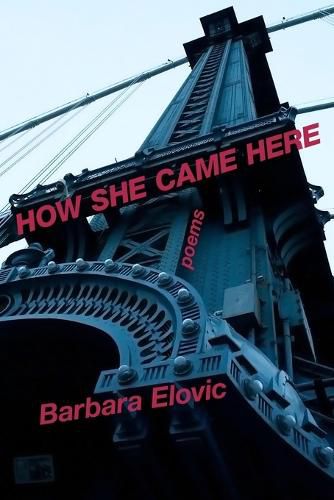 Cover image for How She Came Here