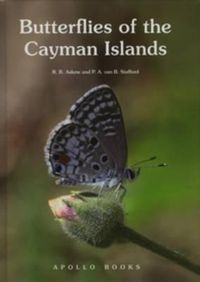 Cover image for Butterflies of the Cayman Islands