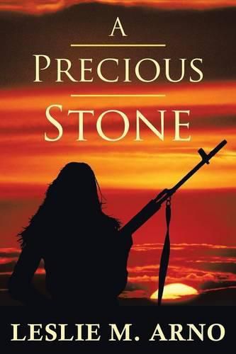 Cover image for A Precious Stone