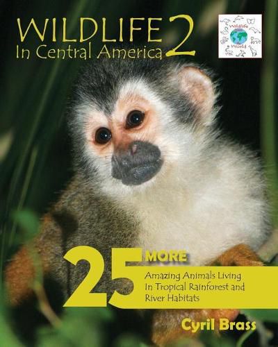 Cover image for Wildlife in Central America 2: 25 More Amazing Animals Living in Tropical Rainforest and River Habitats