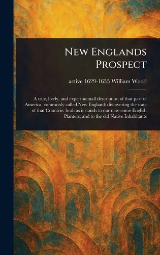 Cover image for New Englands Prospect